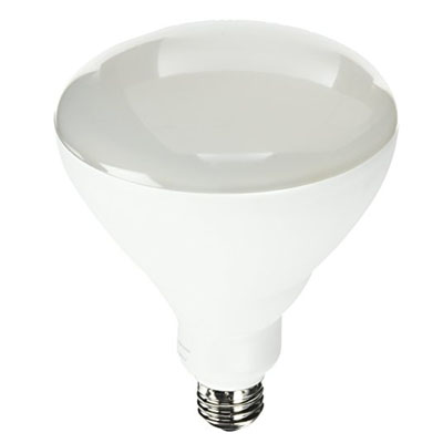 Indoor Flood/Spot Bulbs